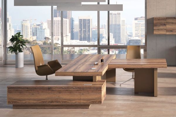 Кабинет руководителя ERA