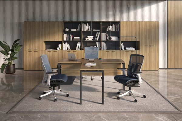 Кабинет руководителя Evolution