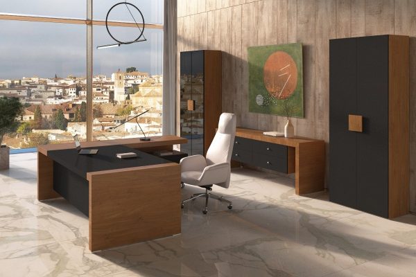 Кабинет руководителя KYU DM